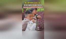 娱乐吃瓜四人组,揭秘娱乐圈背后的故事与笑料