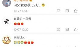 蛮蛮娱乐吃瓜,揭秘娱乐圈最新吃瓜事件，带你领略明星幕后故事