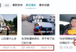 阿姨最新爆料小说网站,揭开小说网站背后的秘密世界