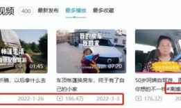 阿姨最新爆料小说网站,揭开小说网站背后的秘密世界