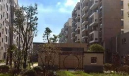 常平新闻爆料热线最新,聚焦民生热点，传递社会声音