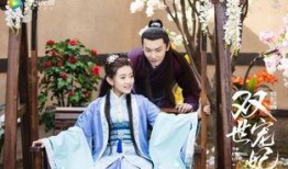 双世宠妃免费观看在线全集,穿越时空的甜蜜爱恋