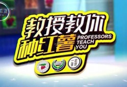 地瓜爆料视频大全最新,揭秘娱乐圈幕后真相