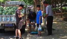 息县吃瓜群众爆料最新视频,吃瓜群众视频揭秘惊人真相