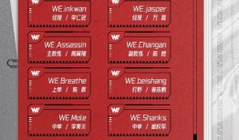 夏季赛转会期最新爆料,揭秘各大战队阵容大洗牌