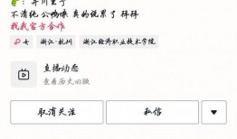 吃瓜网红小说免费阅读,吃瓜网红的免费阅读之旅