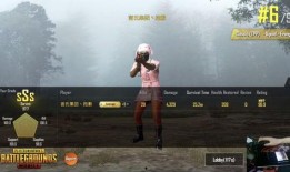 吃鸡外服爆料视频下载,新版本内容抢先看！