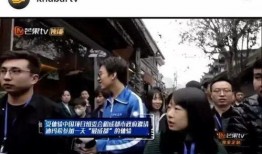 扒奇爆料歌手完整视频在线观看,歌手完整视频在线观看，精彩瞬间不容错过！