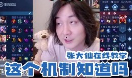 张大仙爆料教练视频全集,教练视频全集深度解析