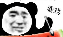 原神最新爆料图归终,原神最新爆料图中的神秘元素与角色猜想