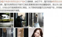 陈琳死因天涯爆料视频播放,天涯爆料视频揭示惊人内幕