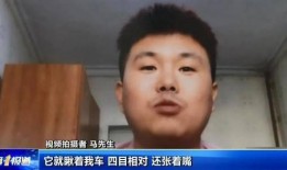 马先生前妻爆料视频,揭秘婚姻内幕与情感纠葛