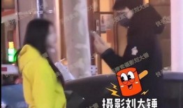 刘大锤爆料真实过吗视频,揭秘“真实过吗视频”背后的真相