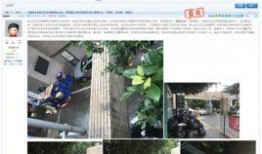 深圳网民爆料新闻,事件背后真相引发热议