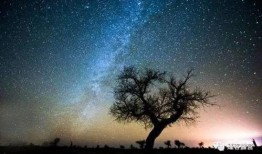 盛星空在线观看