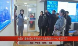 沧县爆料最新新闻视频播放,视频揭示惊人真相，网友热议不断！