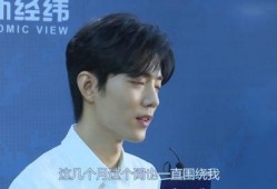 肖战近期爆料新闻视频,揭秘娱乐圈幕后真相