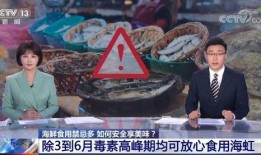 央视爆料最近的大鱼仔视频,大鱼仔视频背后的惊人真相