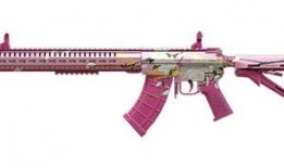 和平精英皮肤最新爆料pkm