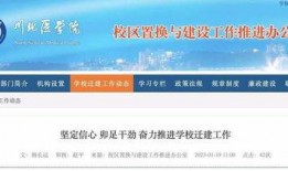 四川大学最新爆料消息,揭秘校园热点事件背后的真相