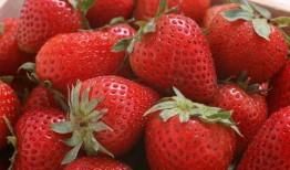 草莓农药爆料视频播放大全,视频爆料大全深度解析