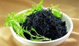 紫菜制作爆料视频教程,轻松学会家常美味紫菜料理