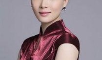 陈数最新爆料视频,揭秘演艺圈幕后故事