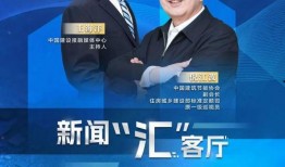 台媒爆料韩三平视频播放,台媒揭露韩三平视频播放背后真相