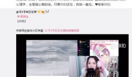 小二爆料女粉丝视频播放,女粉丝视频播放引发热议，背后故事引人关注