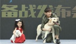 爱情动作片在线观看,揭秘热门爱情动作片在线观看秘籍