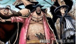 黑胡子最新爆料视频主页,海洋霸主动向全解析