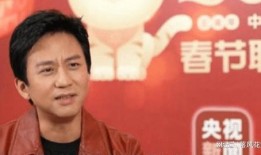 邓超爆料李宇春视频大全,揭秘娱乐圈不为人知的一面