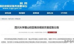 四川大学最新爆料消息,揭秘校园热点事件背后的真相