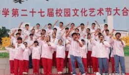 平阳中学爆料事件最新,真相揭开，校园安全再引关注