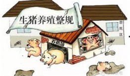 养殖禁养最新爆料,养殖禁养政策调整，行业变革在即