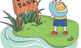 石家庄爆料事件真相最新,揭秘真相背后的曲折历程