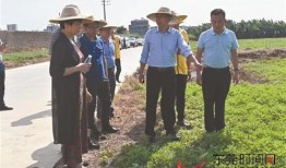 今日揭西爆料新闻视频播放,视频曝光惊人事件，详情揭晓！