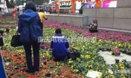 重庆小学爆料案件最新