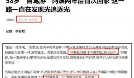 阿姨最新爆料小说网站,揭开小说网站背后的秘密世界