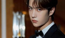 张小寒爆料王一博和赵丽颖视频,张小寒独家爆料引热议