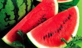 湖州吃瓜事件网红叫什么,网红“瓜王”引发全网热议