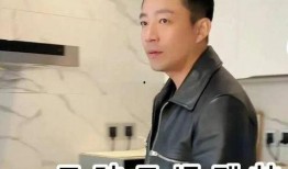 张兰爆料重婚罪案件视频,揭秘豪门背后的婚姻谜团