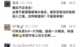 爆料解说视频下载安装,轻松上手，畅享精彩内容