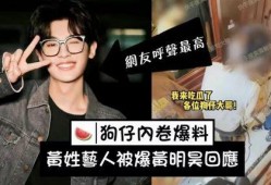 刘大锤爆料男歌手视频,男歌手神秘视频背后的故事