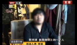 扒奇爆料歌手完整视频在线观看,歌手完整视频在线观看，精彩瞬间不容错过！