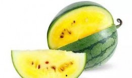 网红瓜去哪里吃最好吃,揭秘全国最佳品尝地