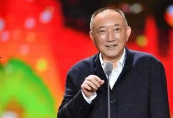 台媒爆料韩三平视频播放,台媒揭露韩三平视频播放背后真相