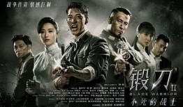 电视剧锻刀全集在线观看,刀锋传奇，热血铸就英雄梦