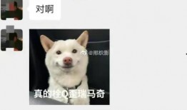 网红吃瓜丑姐姐是谁呀,她的真实身份与走红之路
