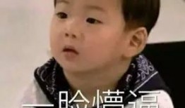 娱乐圈爆料者小小号,揭秘明星幕后故事